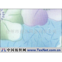 台州市益久网业有限公司 -锦纶40目印花网布